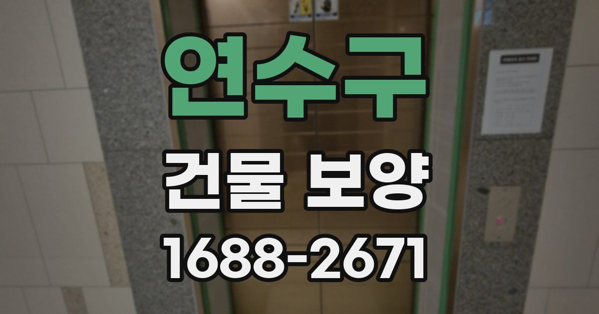 연수구 건물 보양