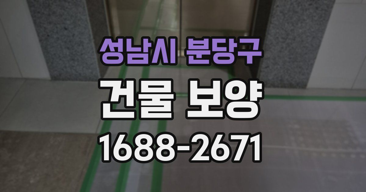 성남시 분당구 건물 보양