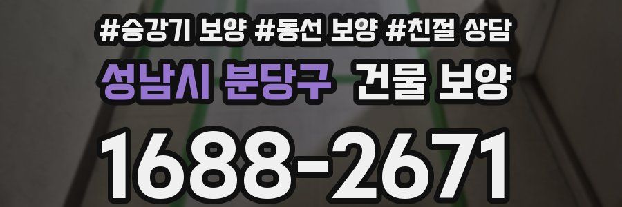 성남시 분당구 건물 보양