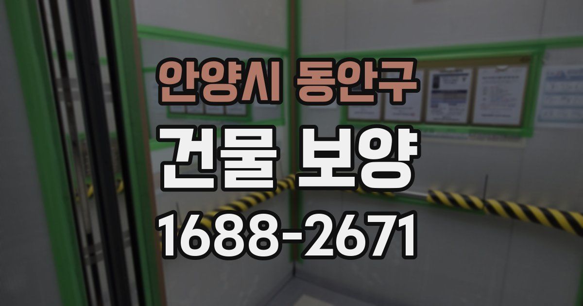 안양시 동안구 건물 보양