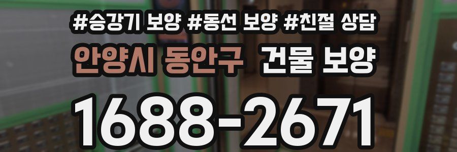 안양시 동안구 건물 보양