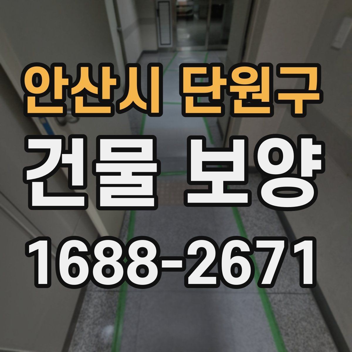 안산시 단원구 건물 보양 비용과 품질을 함께 보는 법
