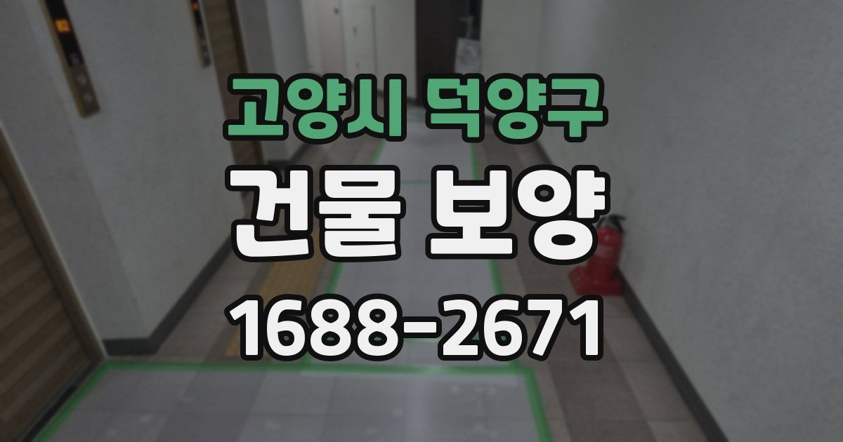 고양시 덕양구 건물 보양