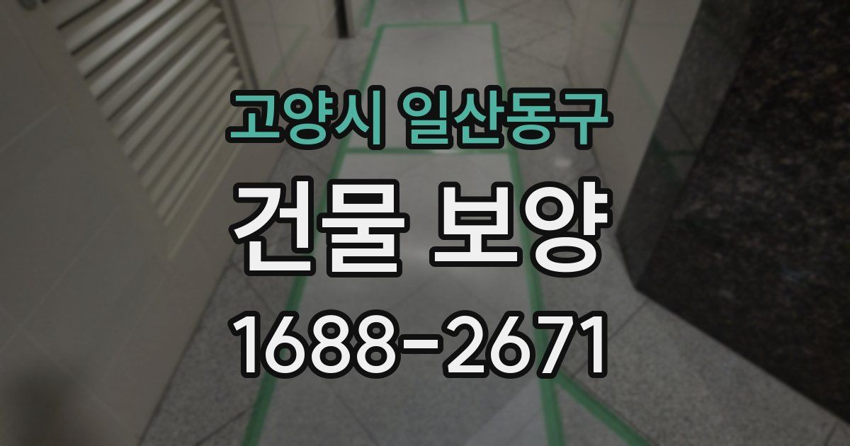 고양시 일산동구 건물 보양