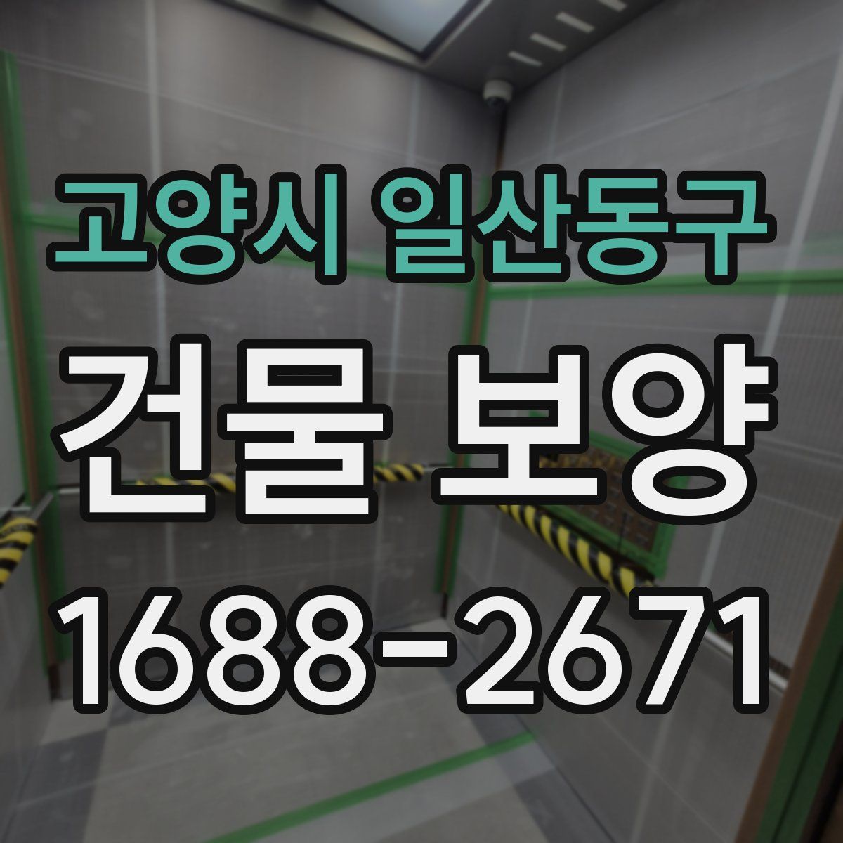 고양시 일산동구 건물 보양