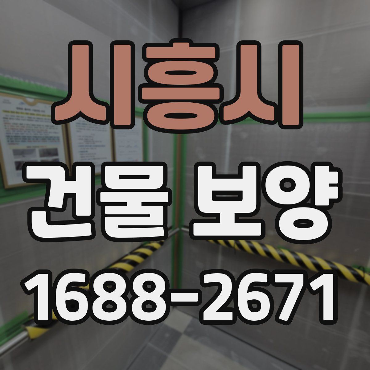 시흥시 건물 보양