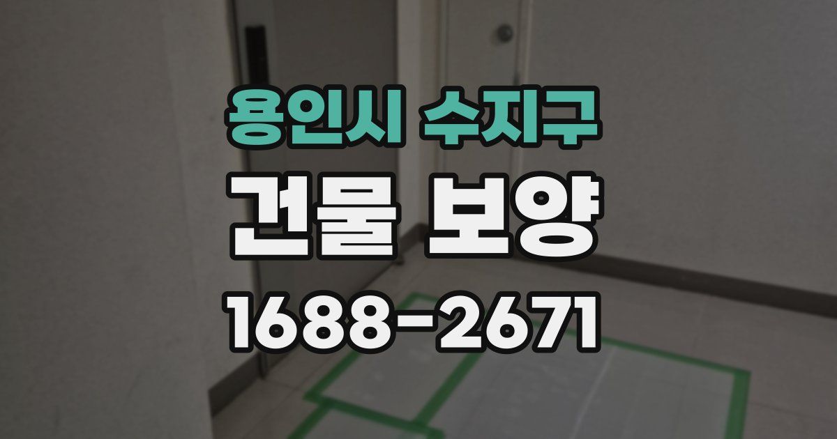 용인시 수지구 건물 보양