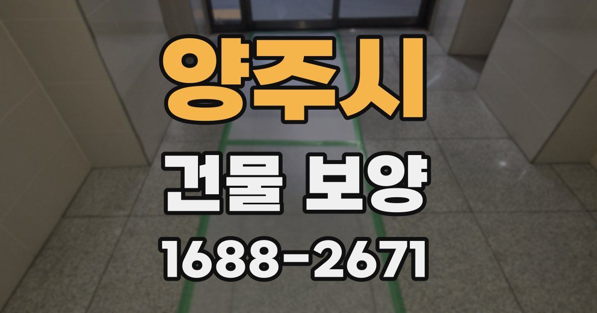 양주시 건물 보양