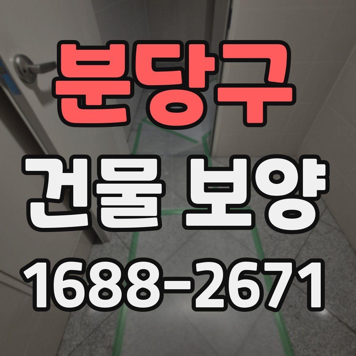 분당구 건물 보양 비용과 품질을 함께 보는 법