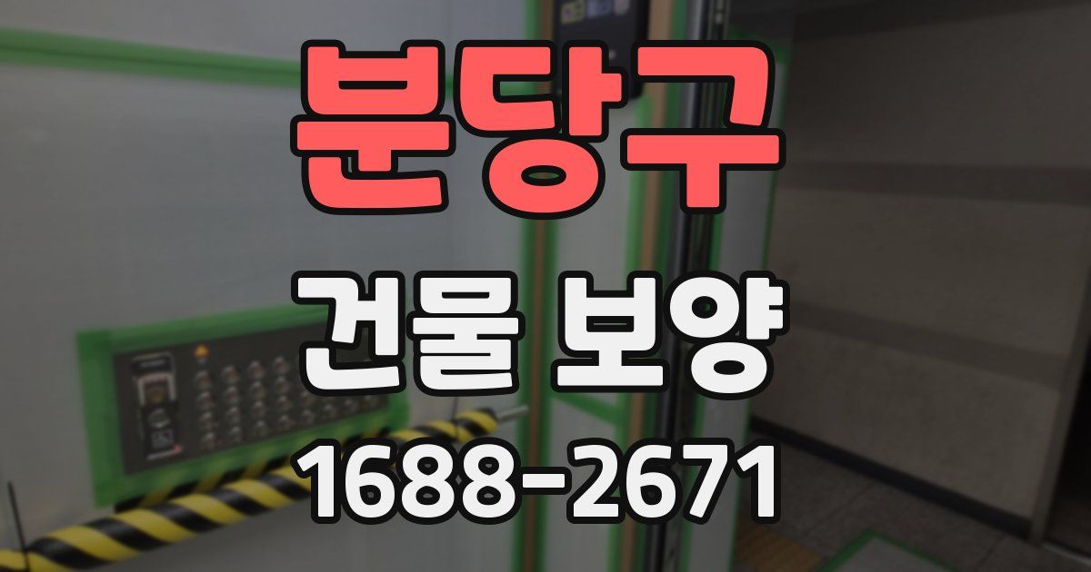 분당구 건물 보양