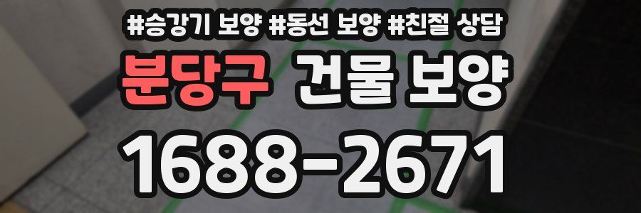 분당구 건물 보양