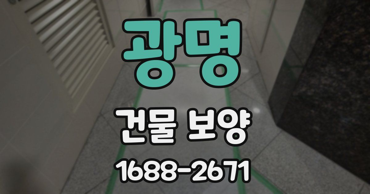 광명 건물 보양