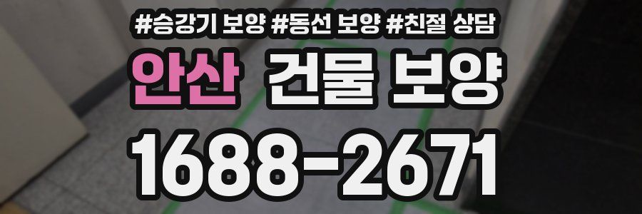 안산 건물 보양