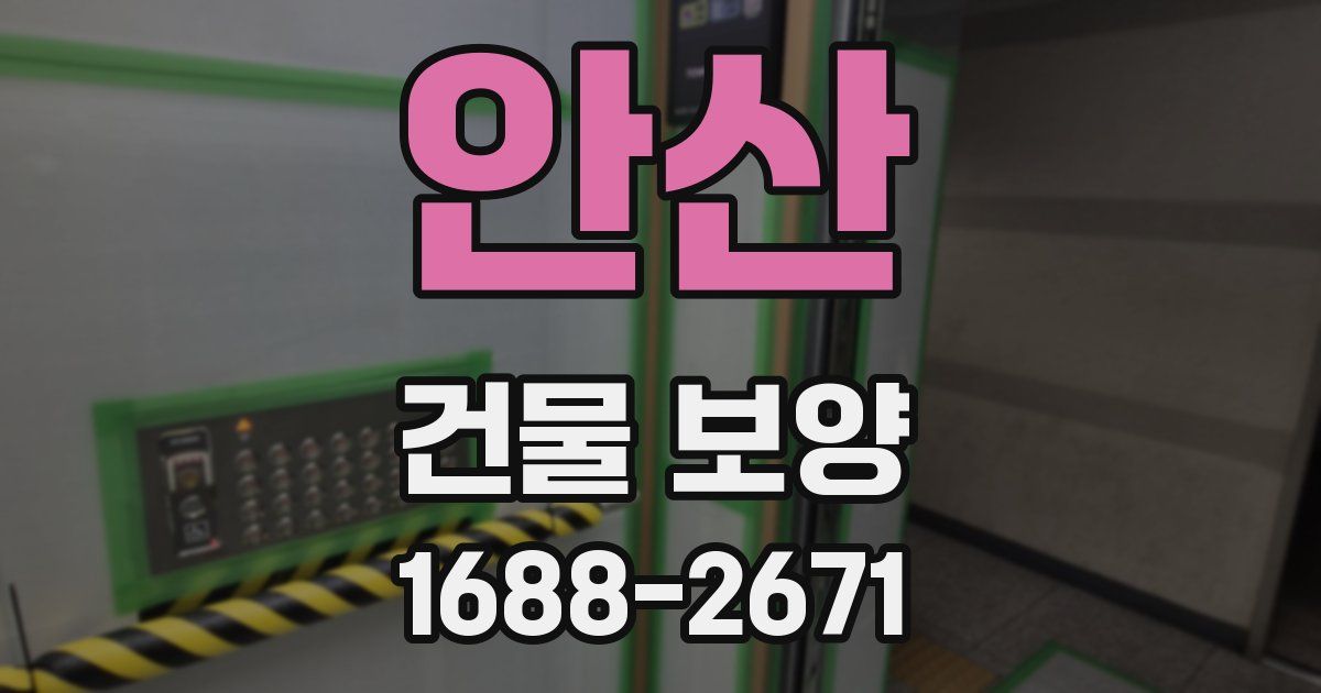 안산 건물 보양