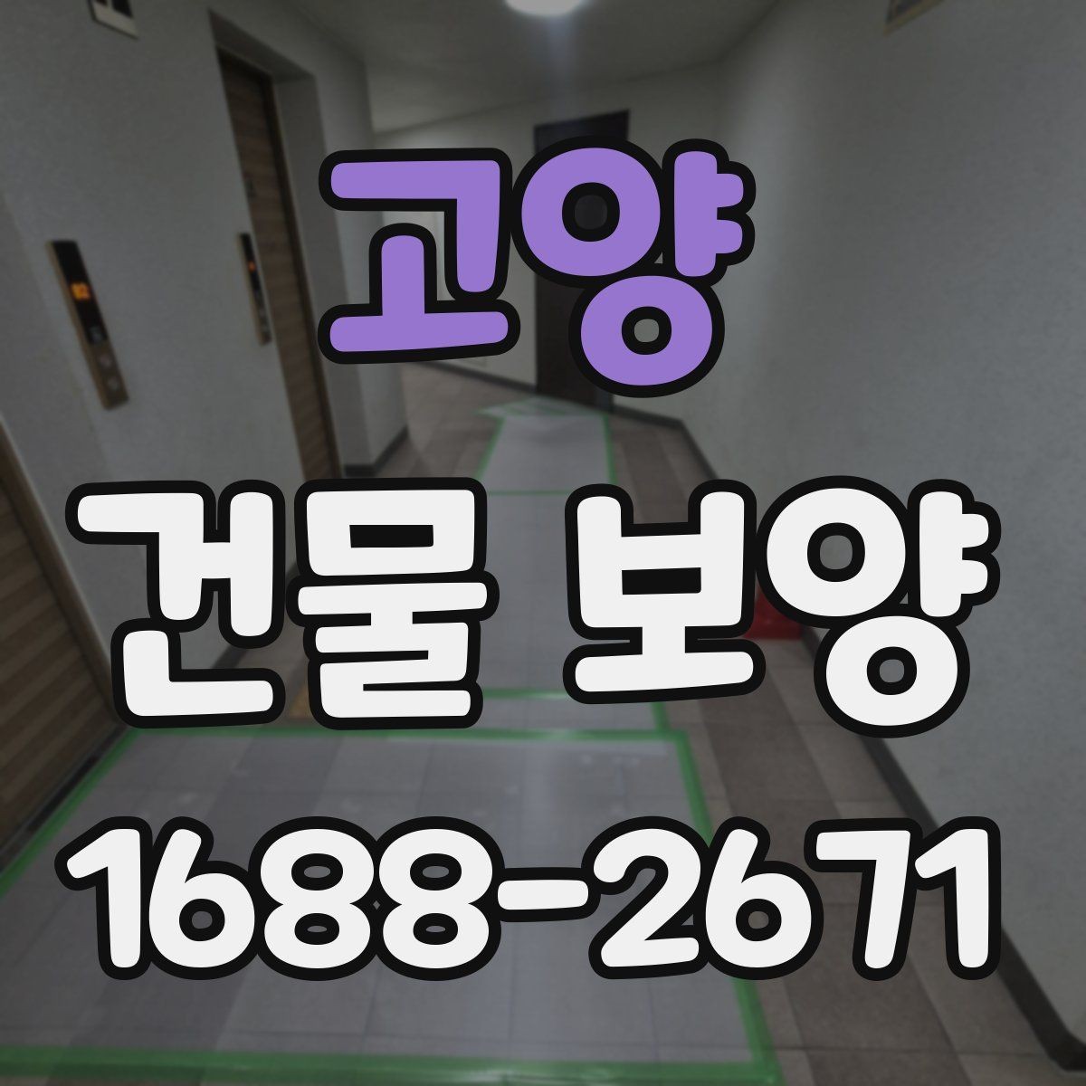 고양 건물 보양 자재별 적용 환경을 살펴보기