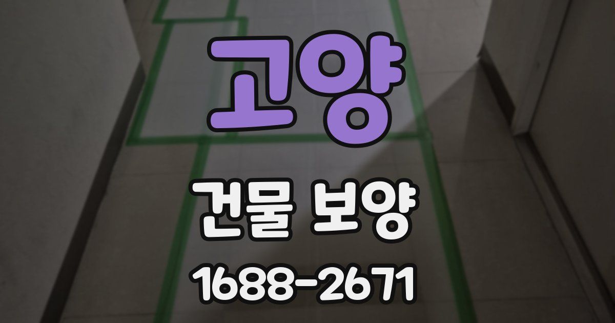 고양 건물 보양