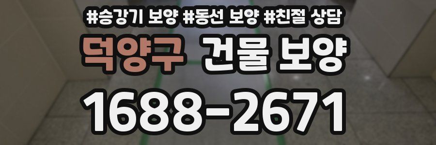 덕양구 건물 보양