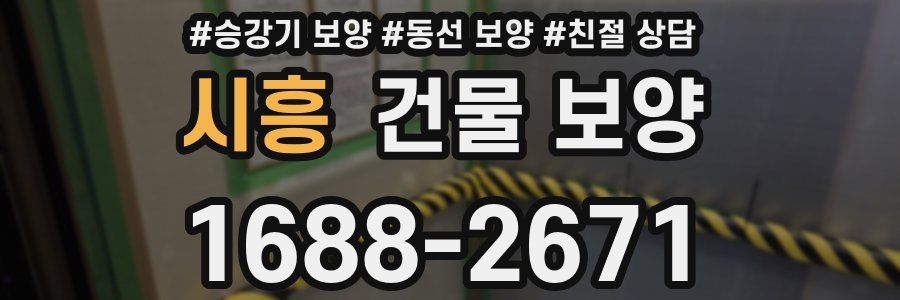 시흥 건물 보양