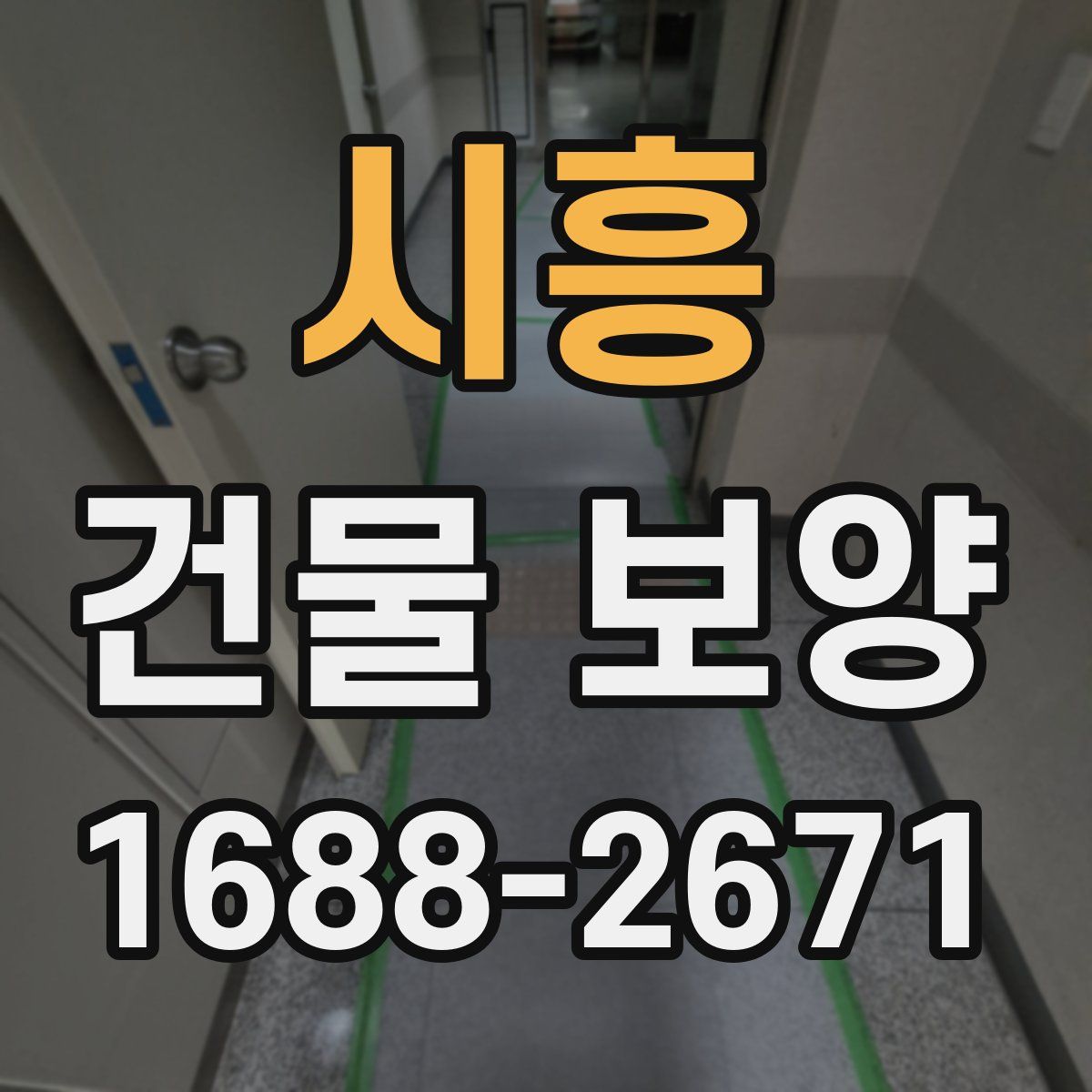시흥 건물 보양