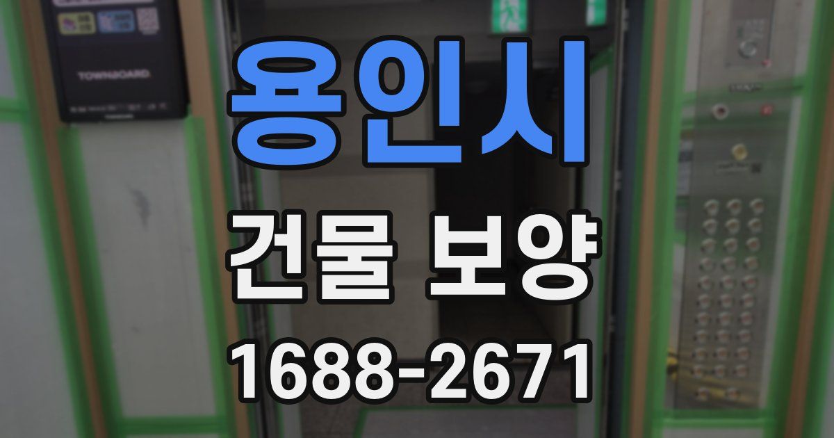 용인시 건물 보양