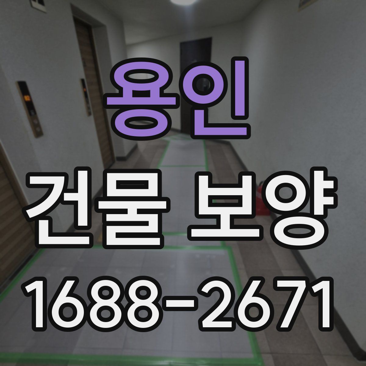 용인 건물 보양