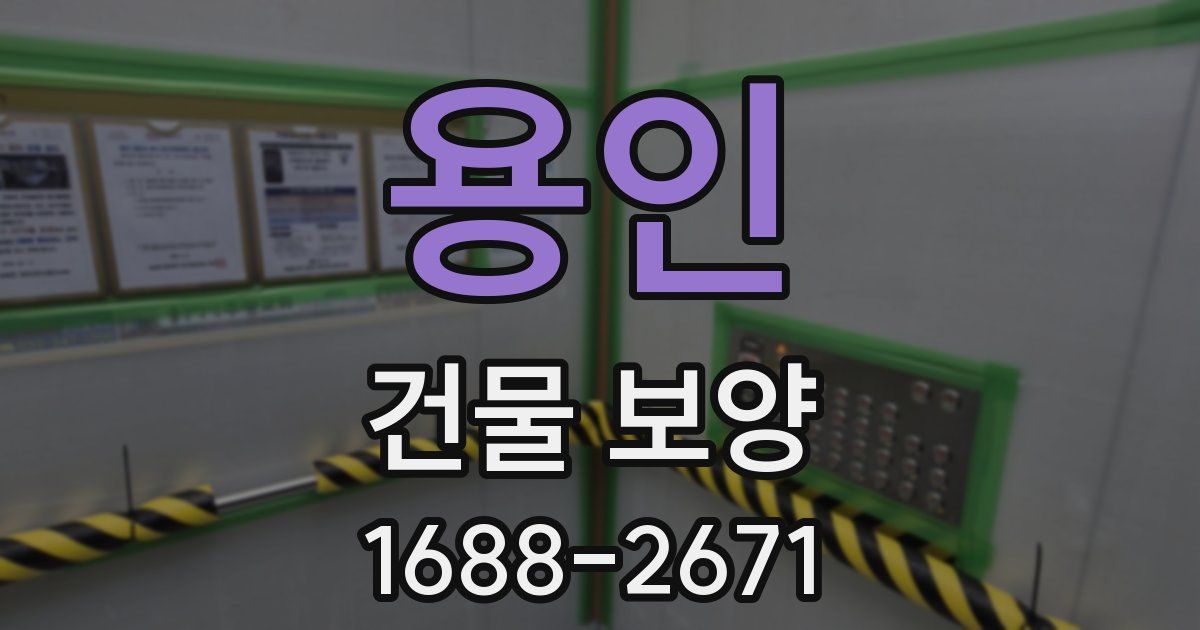 용인 건물 보양