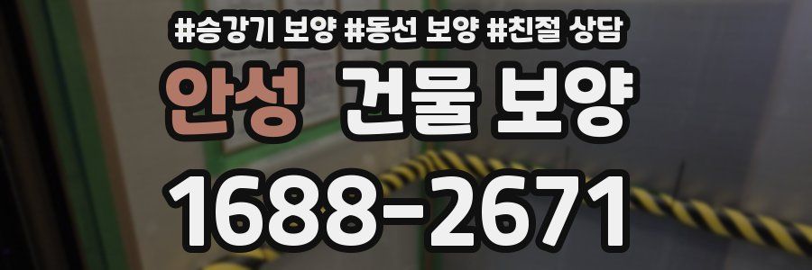 안성 건물 보양