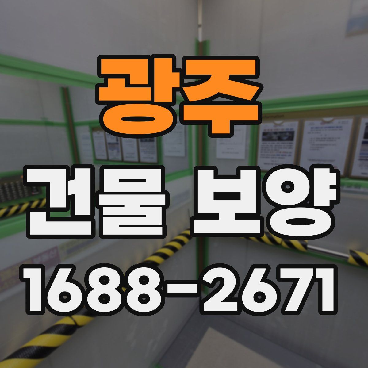 광주 건물 보양