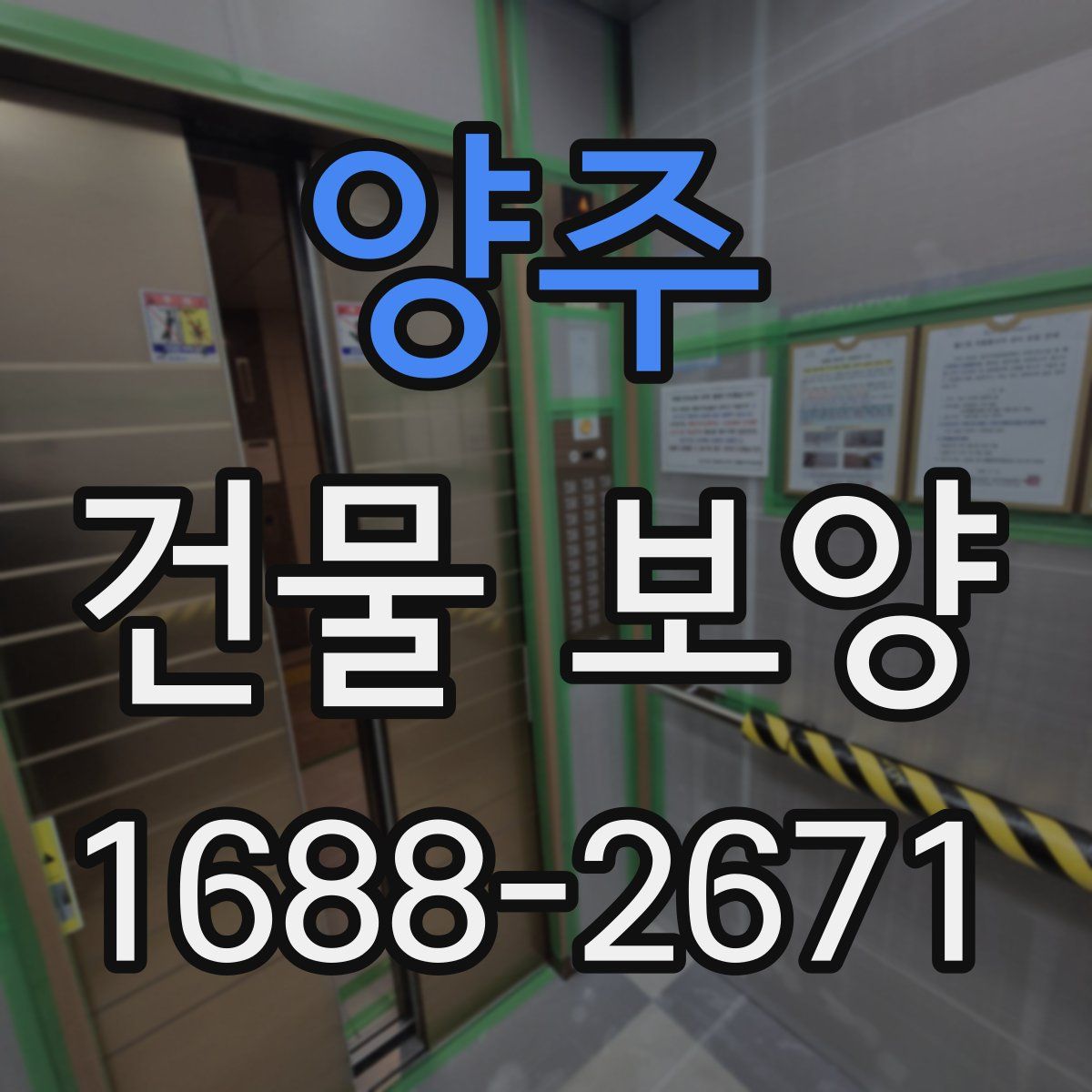 양주 건물 보양