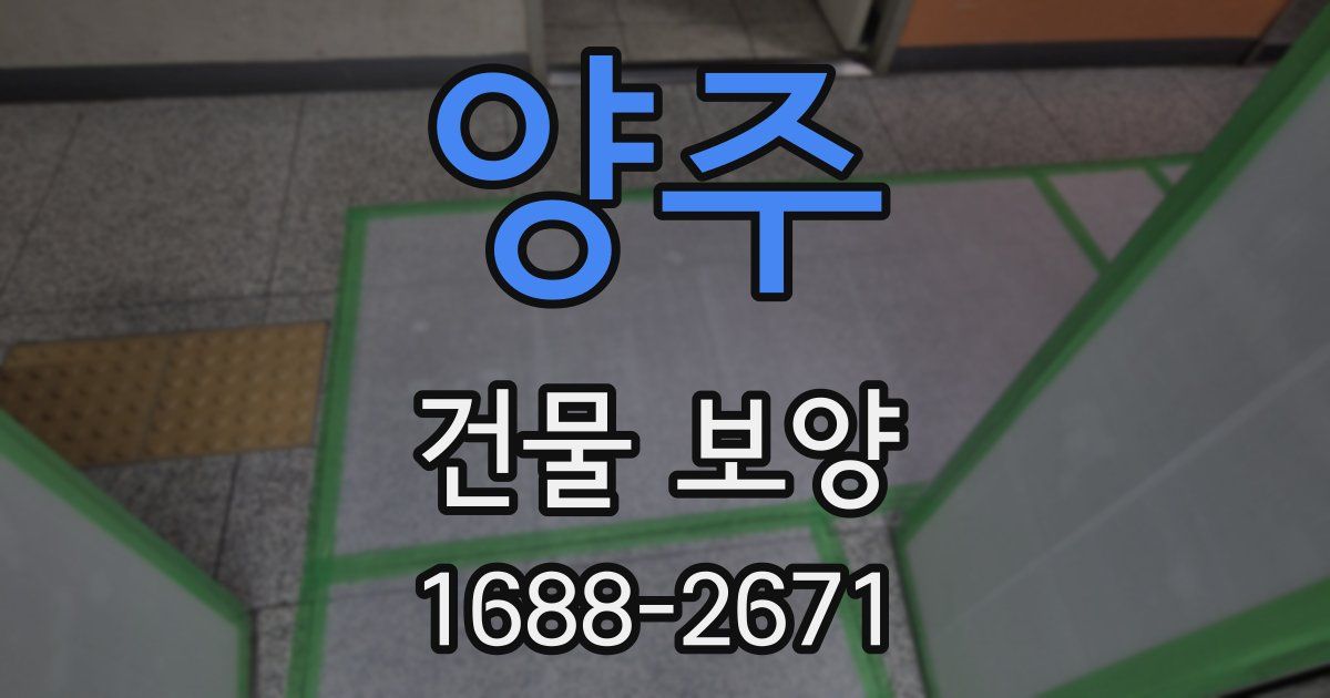 양주 건물 보양