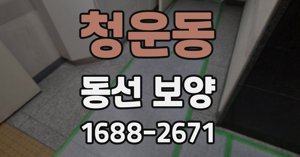 청운동 동선 보양