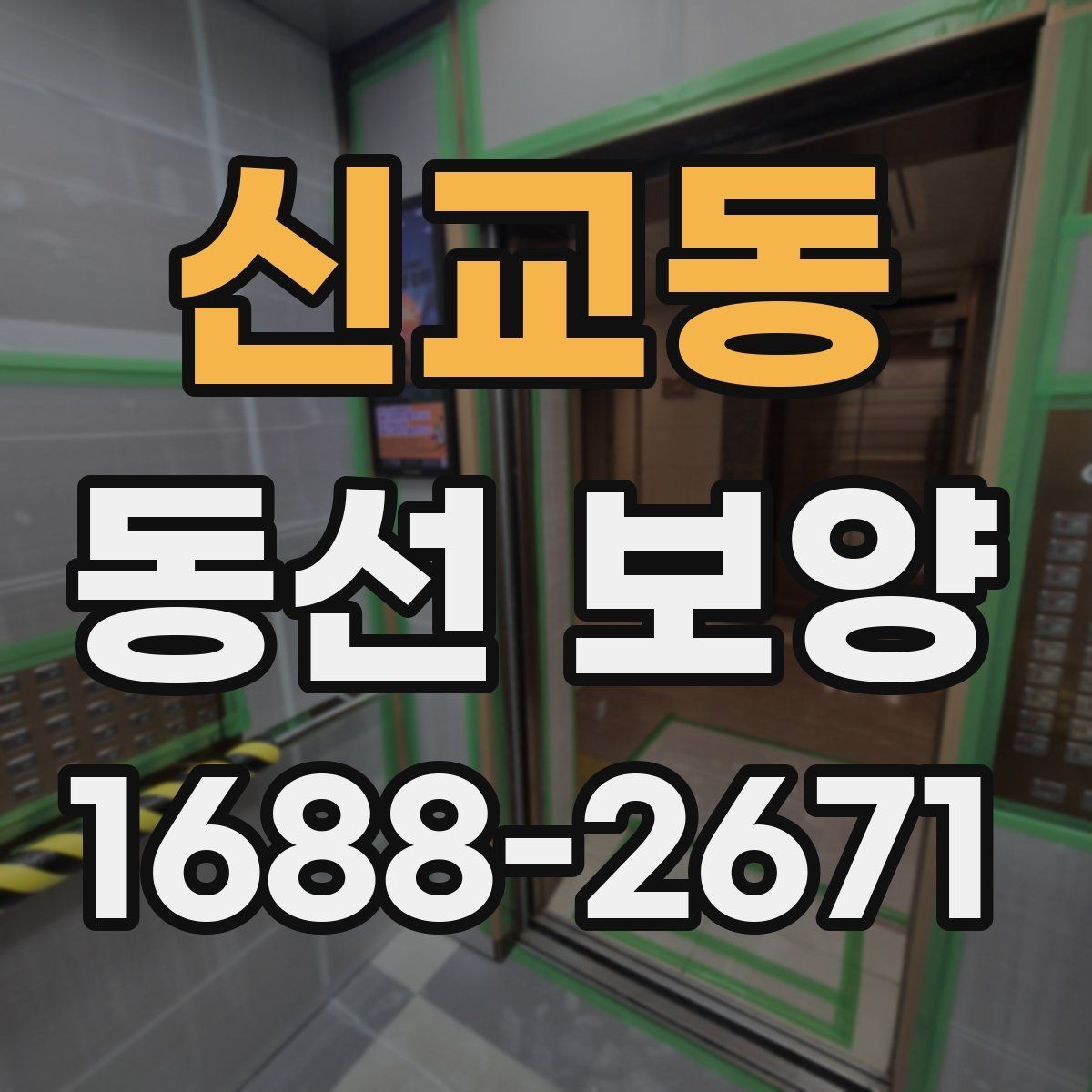 신교동 동선 보양 업체를 볼 때 확인할 기준