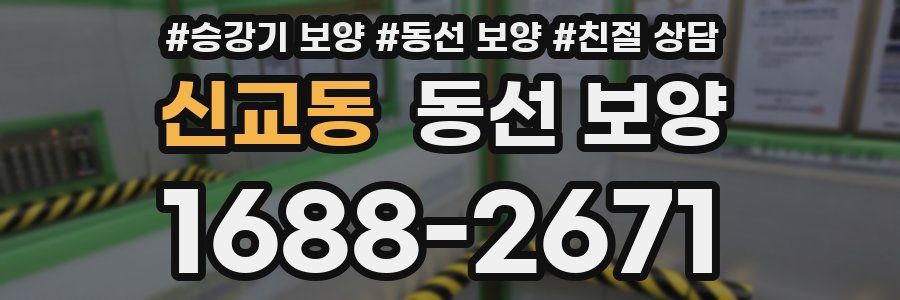 신교동 동선 보양