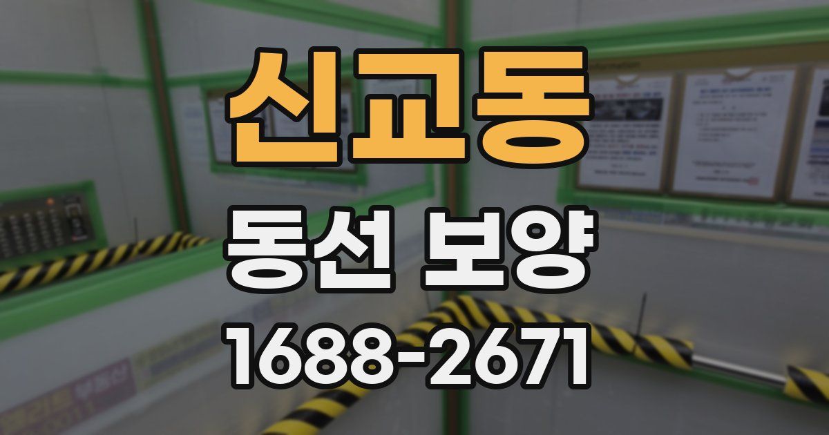 신교동 동선 보양