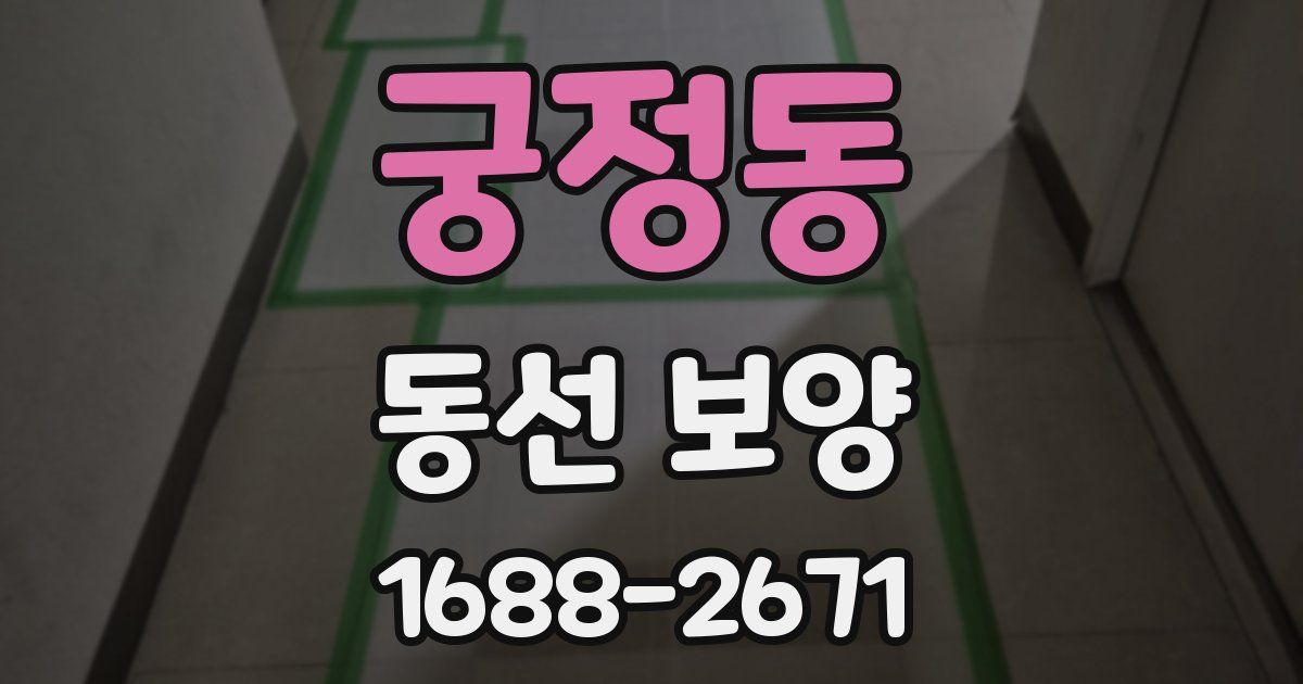 궁정동 동선 보양