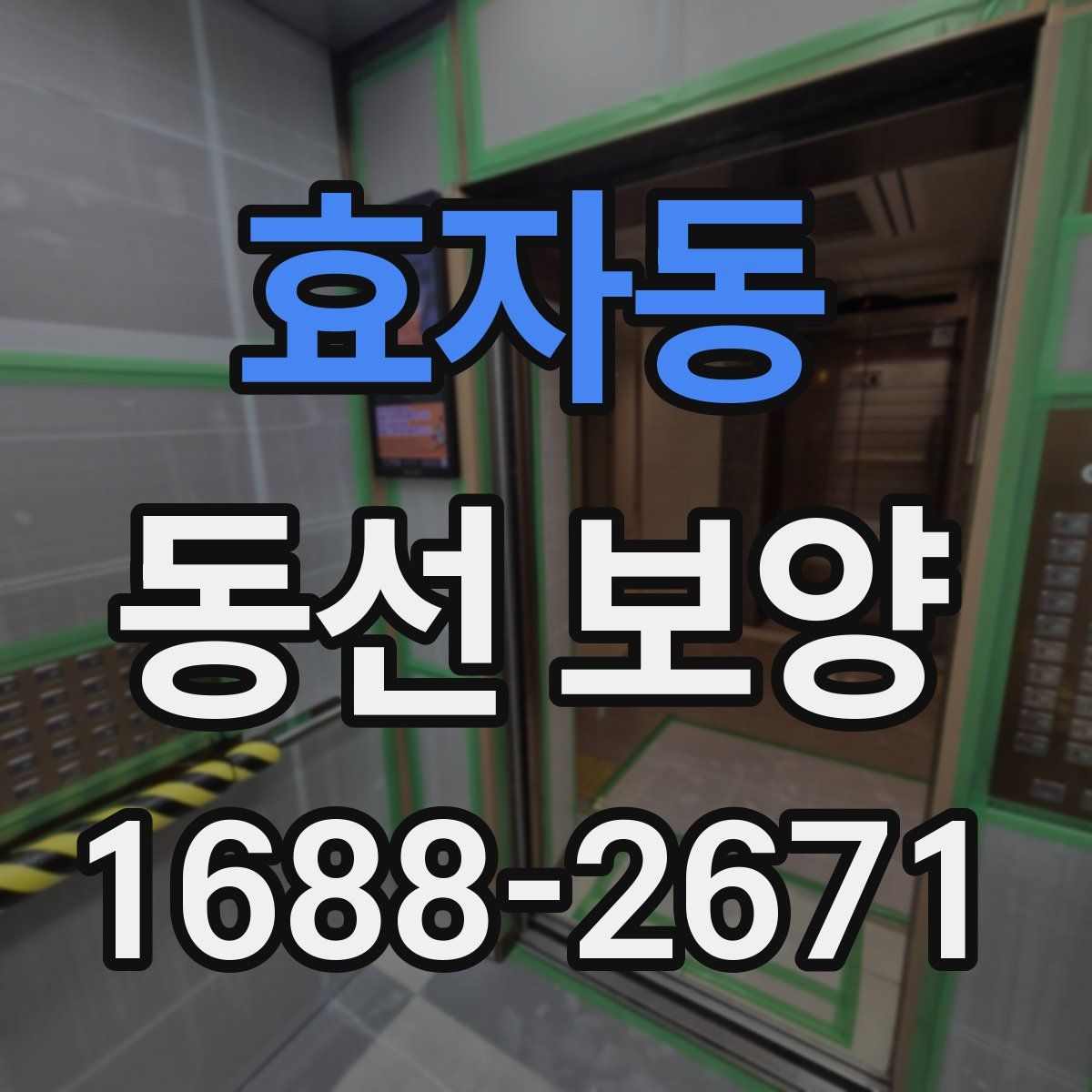 효자동 동선 보양