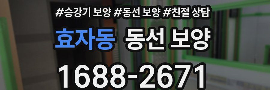 효자동 동선 보양