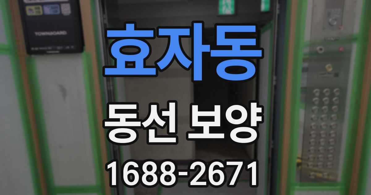 효자동 동선 보양