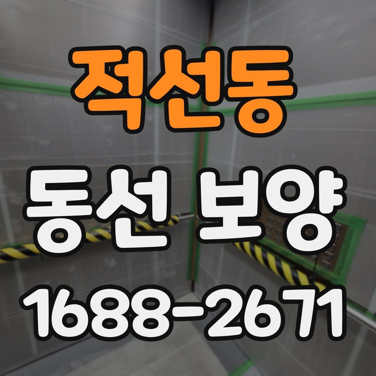 적선동 동선 보양 업체 선정 시 확인할 실무 포인트