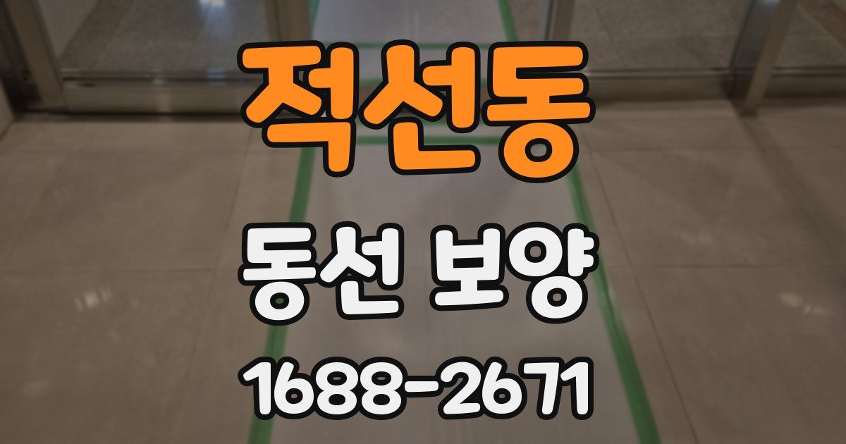 적선동 동선 보양