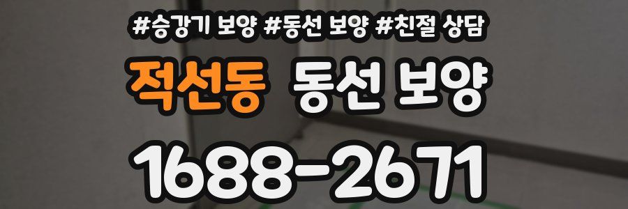 적선동 동선 보양