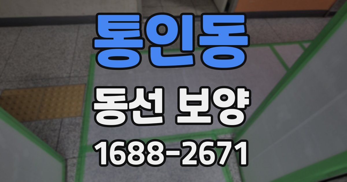 통인동 동선 보양