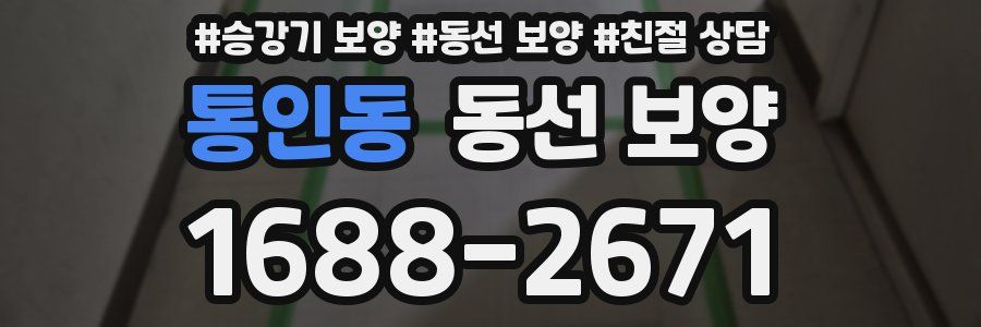 통인동 동선 보양