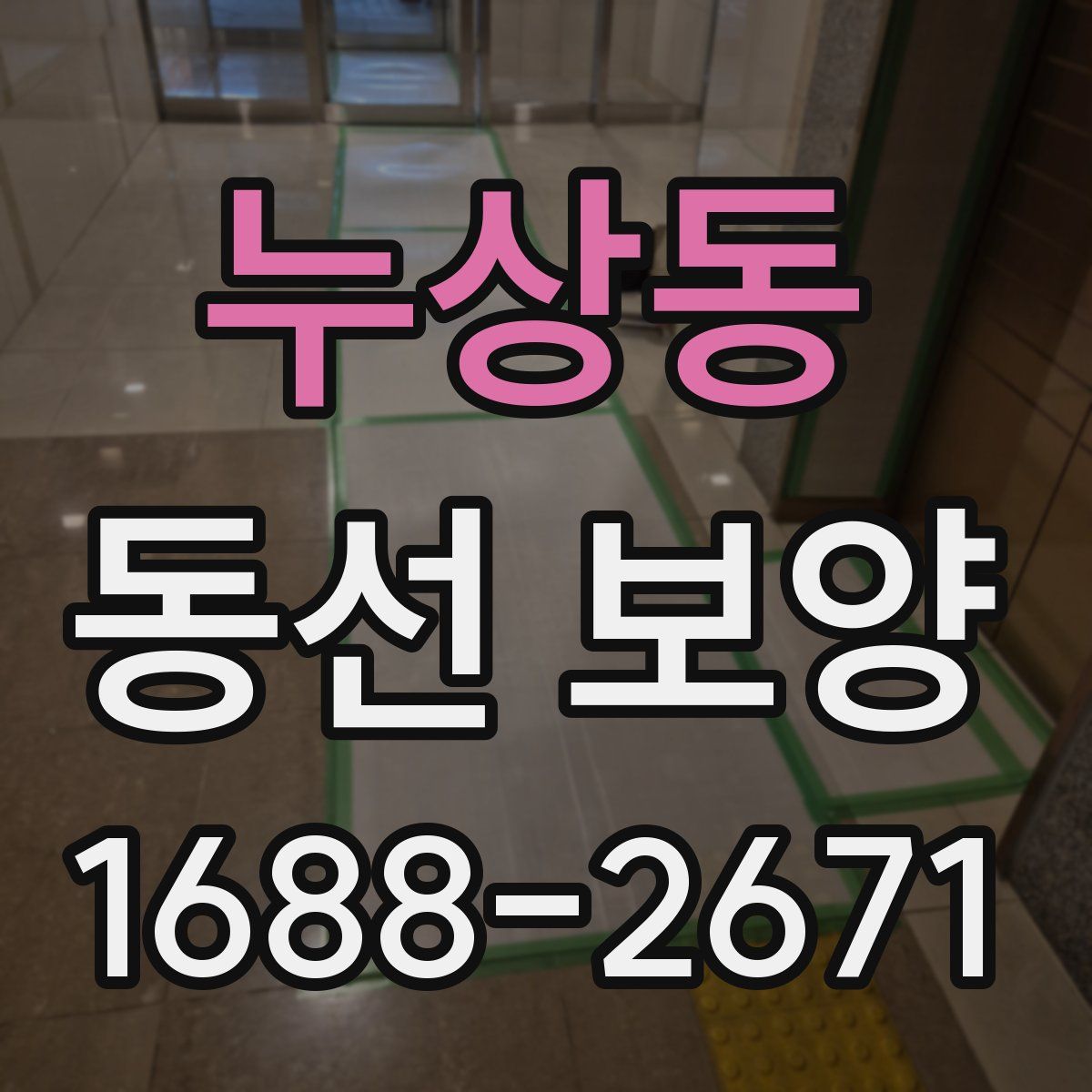 누상동 동선 보양