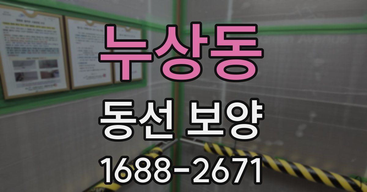 누상동 동선 보양