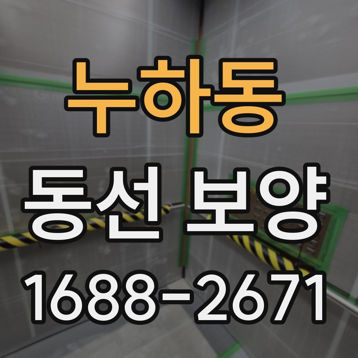 누하동 동선 보양 과정별 역할과 확인 포인트