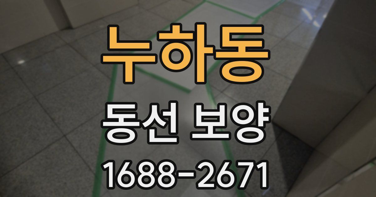 누하동 동선 보양