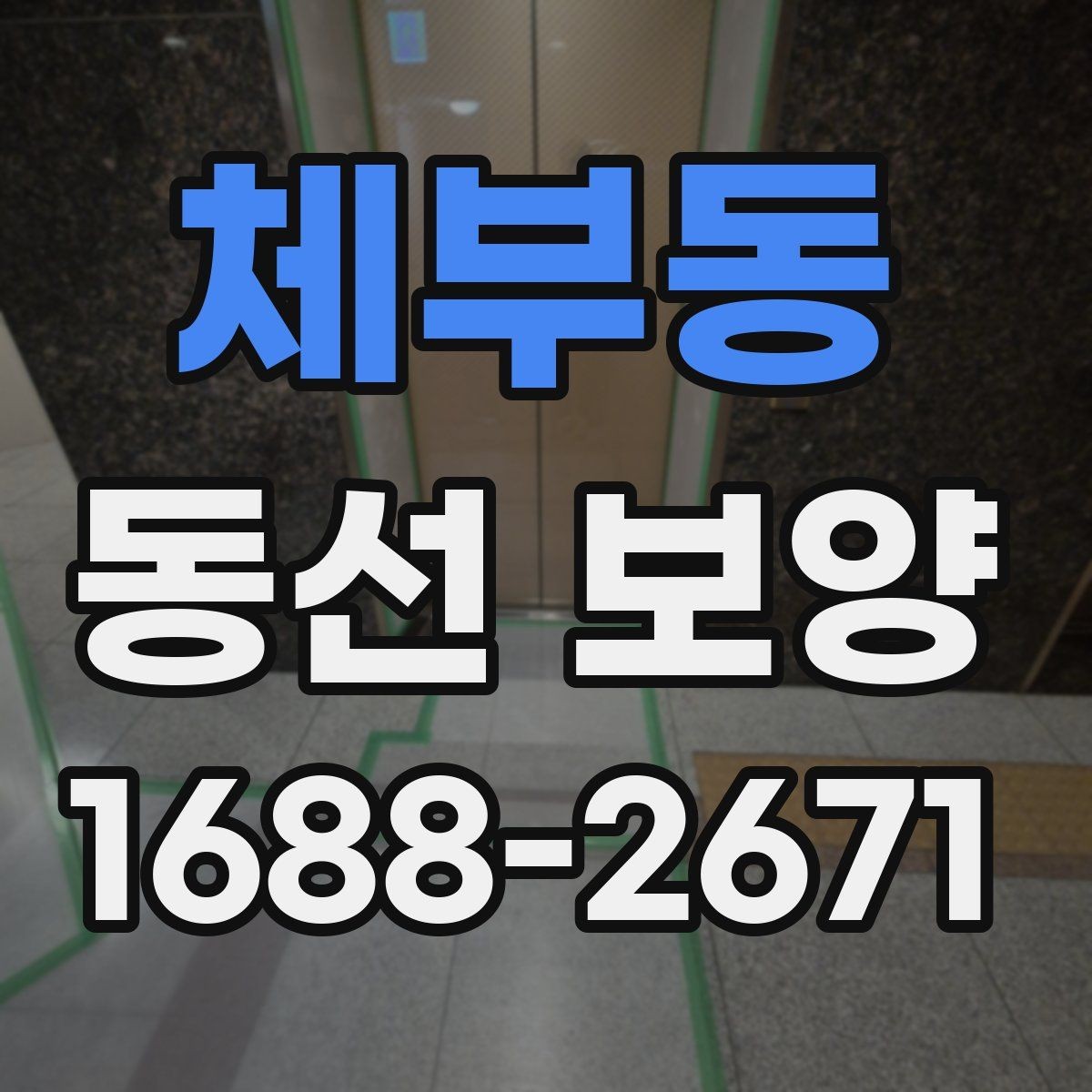 체부동 동선 보양 작업 시 자재 손실 줄이는 법