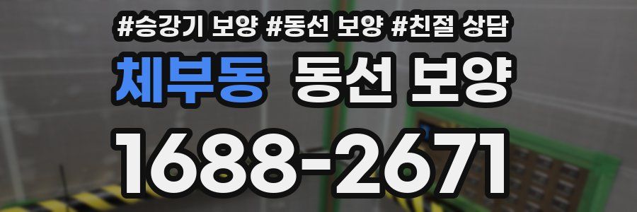 체부동 동선 보양