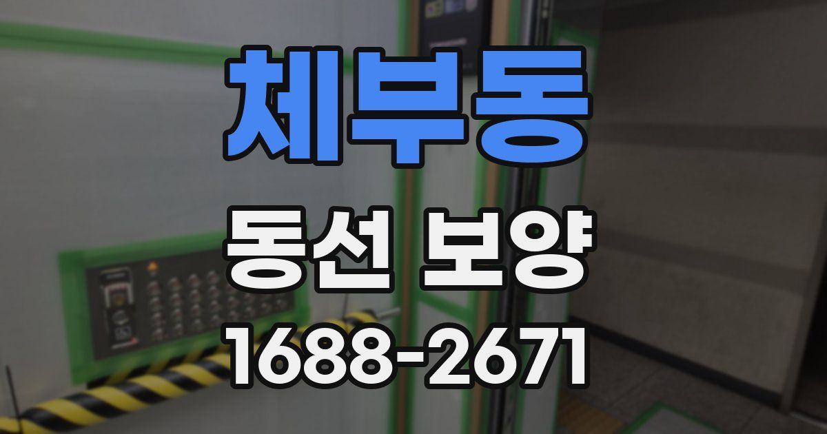 체부동 동선 보양